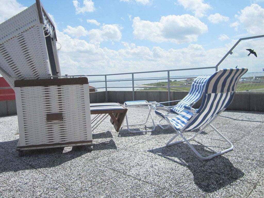 Lüttje Strandflieder in Norderney
