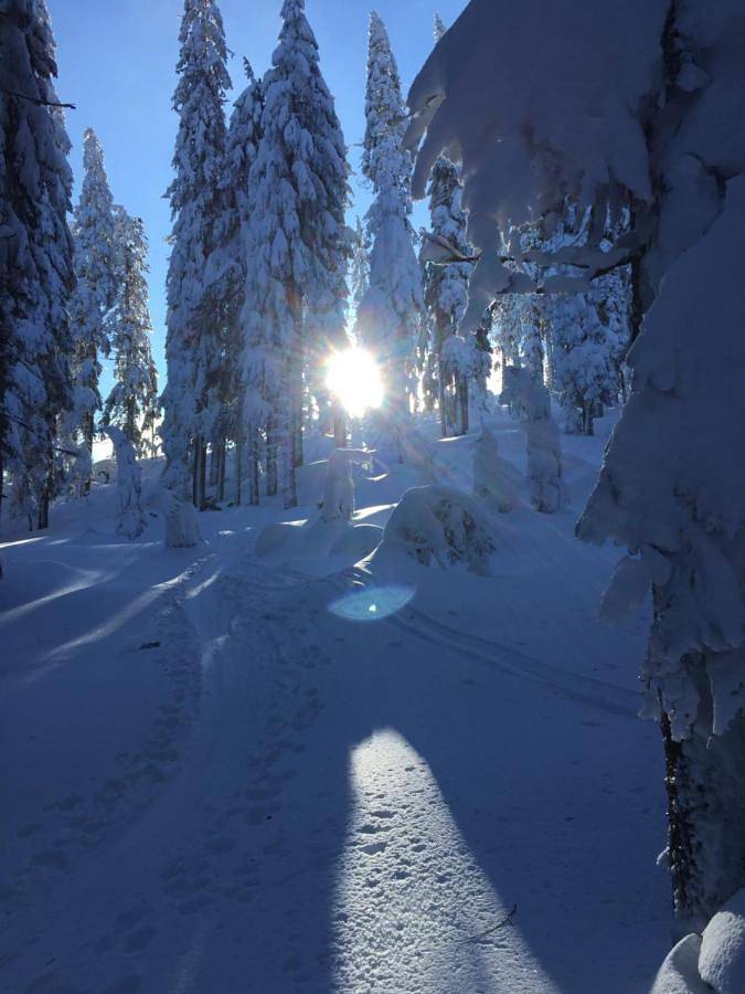 Ferienhaus für 4 Personen, mit Garten und Ausblick in Böbrach - 3