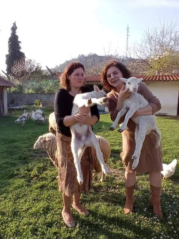 Gîte pour 3 personnes, avec jardin ainsi que terrasse et vue à Arouca - 4