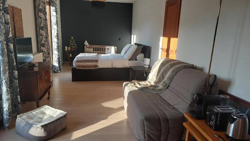 Gîte pour 3 personnes, avec vue et jardin à Noaillan - 3