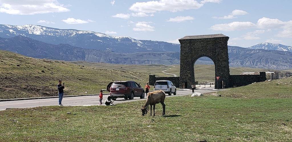 Ganze Wohnung, Parks Riverside B in Gardiner, Mt in Gardiner, Absaroka Range