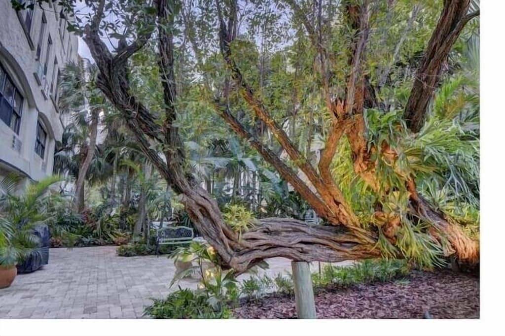 Ganze Wohnung, Delux Queen Room , 1 block to the Beach, Tv, Pool, Wifi in Palm Beach, Palm Beach County