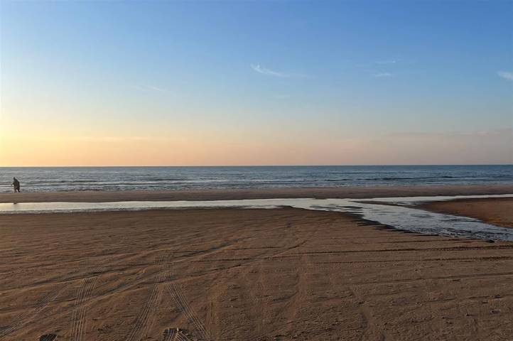 Pet friendly home in Hirtshals with sauna in Hirtshals region, Tannisbucht