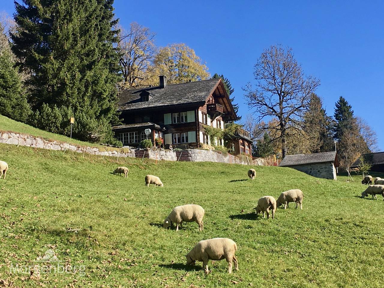 Ganze Ferienwohnung, Chalet Morgenberg Nr. 111 - 8-Zimmer Ferienhaus in Glarus Süd, Kanton Glarus