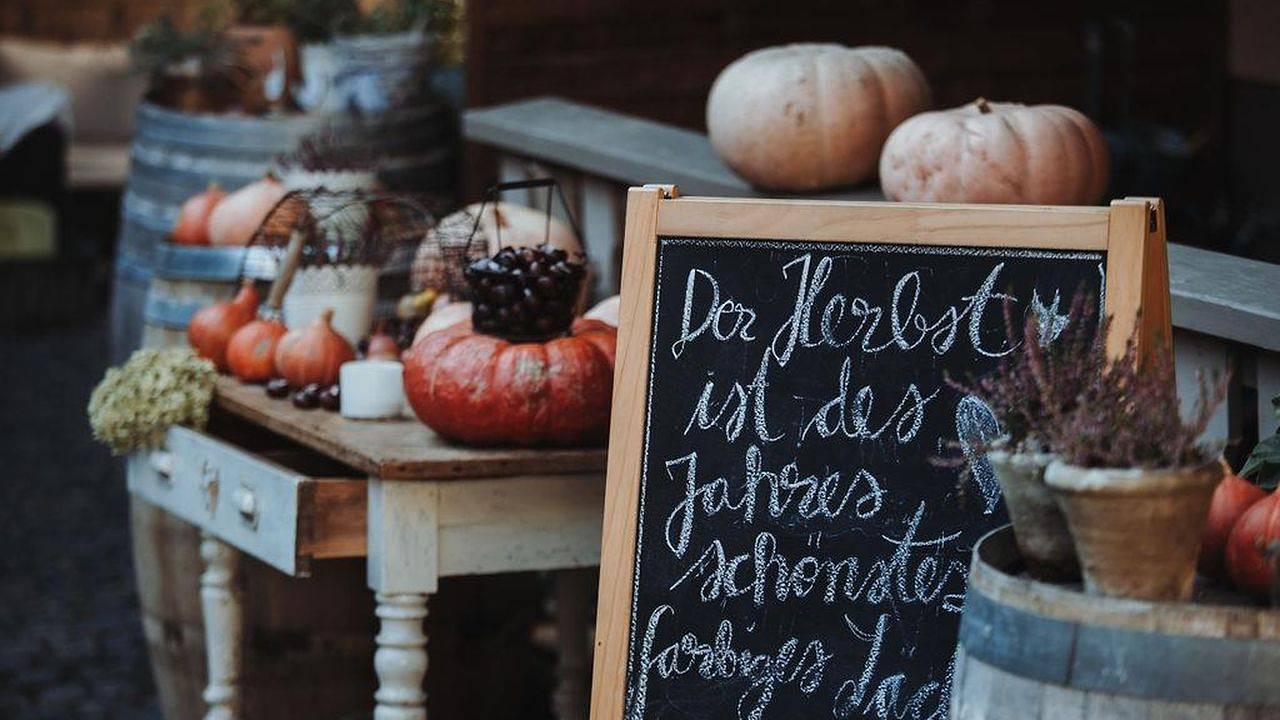 Ganze Ferienwohnung, Ferienwohnung für 4 Personen (60 m²) in Vendersheim in Vendersheim, Rheinhessen