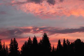 Chalet for 4 People in Glacier National Park, Montana, Photo 3