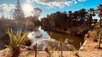 Log Cabin for 3 People in Bay of Plenty, New Zealand, Photo 4