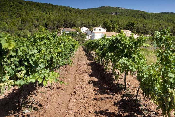 Chalet para 8 personas, con piscina y jardín en Alt Penedès