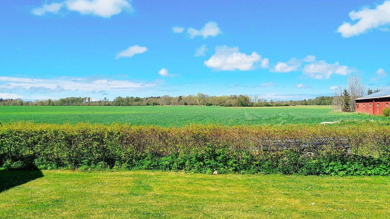 Ferienhaus für 5 Personen (85 m²) in Gotlands Tofta in Gotland