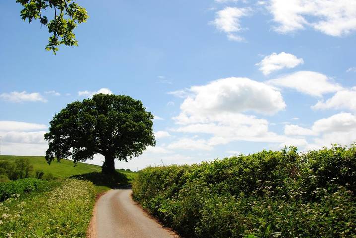 Holiday rental for 2 people, with garden and terrace, with pets in Dawlish Warren