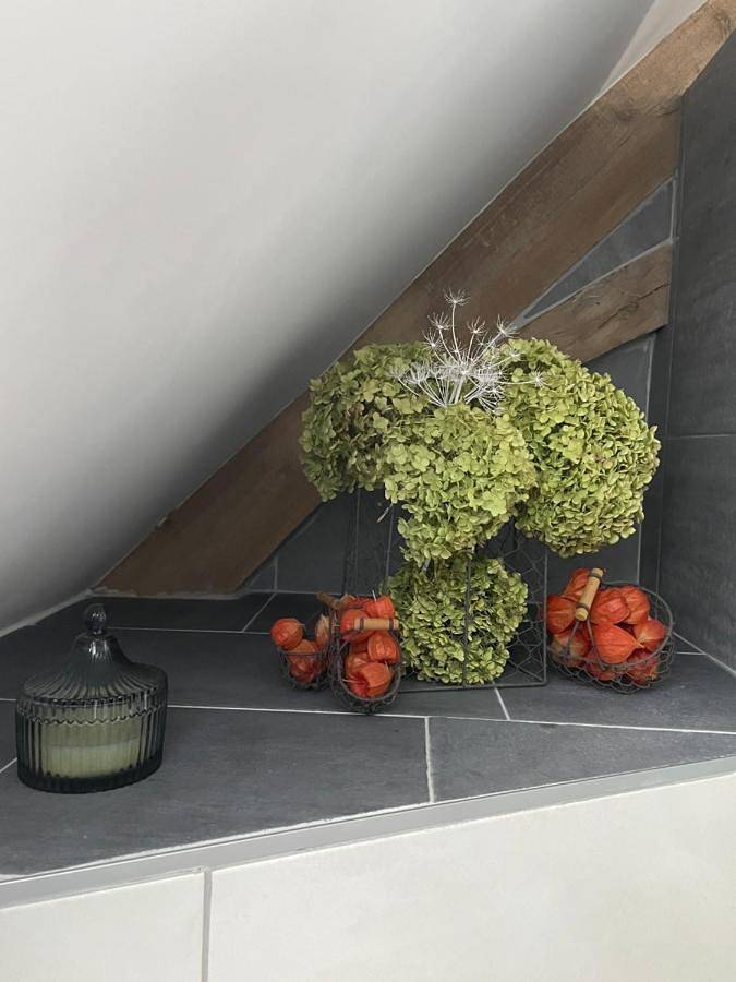 Chambre d’hôte pour 2 personnes, avec vue ainsi que terrasse et jardin dans Loiret - 2