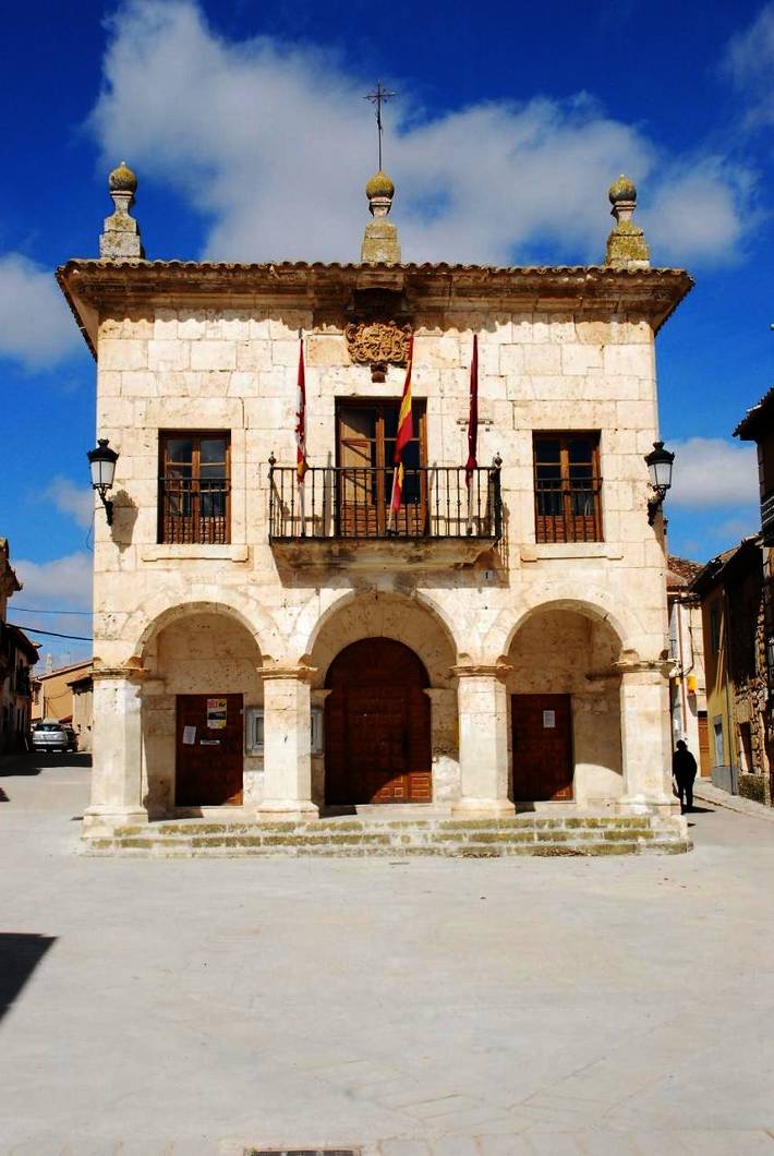Casa de huéspuedes para 15 personas, con jardín en Ribera del Duero - 4
