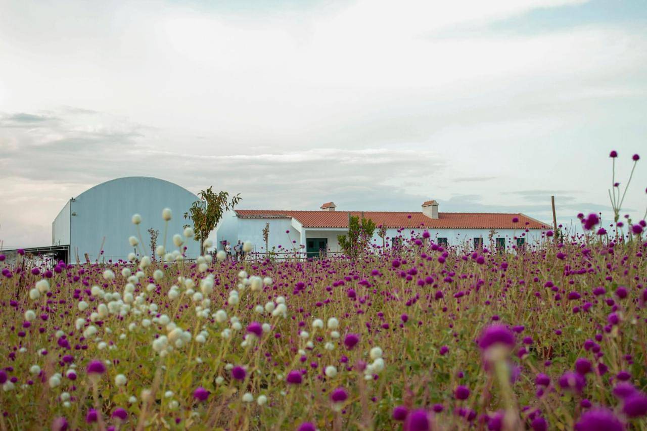 Monte de Palma- Quinta Biodinâmica Momentos Únicos in Évora, Distrito de Évora