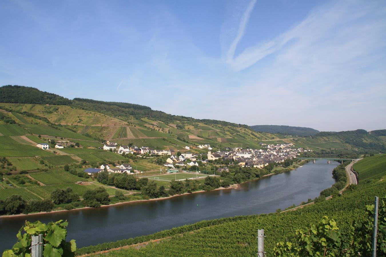 Ganze Ferienwohnung, Weingut-Brennerei-Gästehaus Emil Dauns in Reil, Bernkastel-Kues & Umgebung