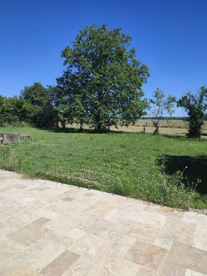 Gîte pour 10 personnes, avec terrasse et jardin dans le Loir-et-Cher - 3