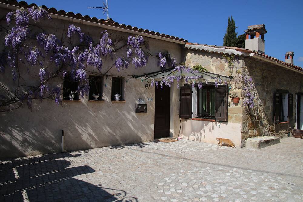 Small quiet house surrounded by olive trees between sea and mountains in Contes, Nice region