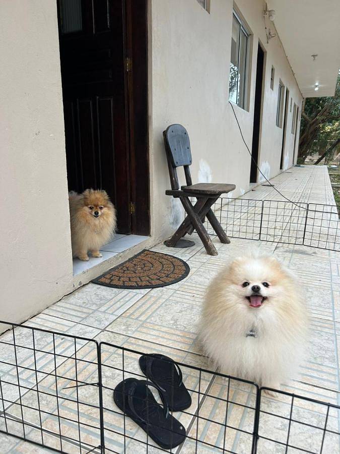 Pousadas para 4 pessoas, com piscina e balcão em Imbé