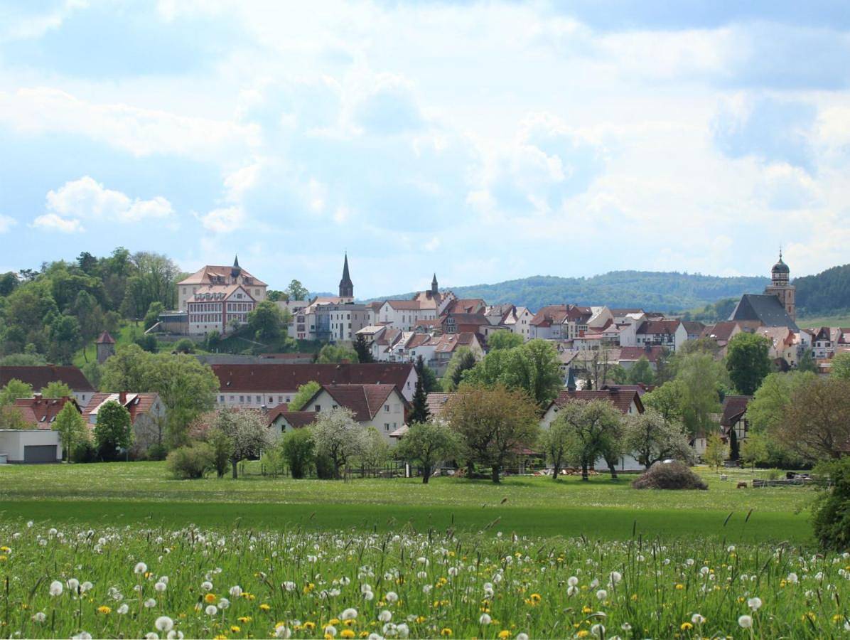 Schloss Geisa in Geisa, Biosphärenreservat Rhön
