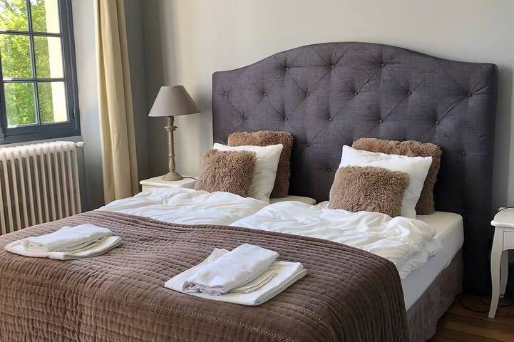 Château pour 16 personnes, avec piscine ainsi que jardin et jacuzzi dans Marne - 4