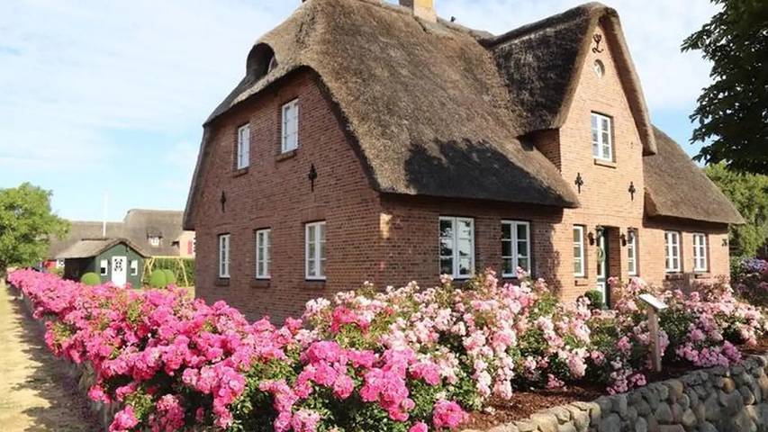 Ferienhaus für 6 Personen, mit Terrasse und Sauna sowie Garten