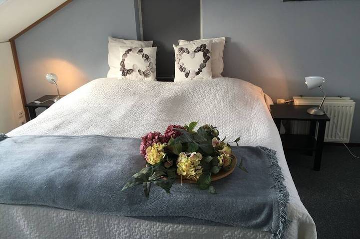 Ferienhaus für 6 Personen, mit Garten und Pool sowie Whirlpool, mit Haustier auf Texel - 3